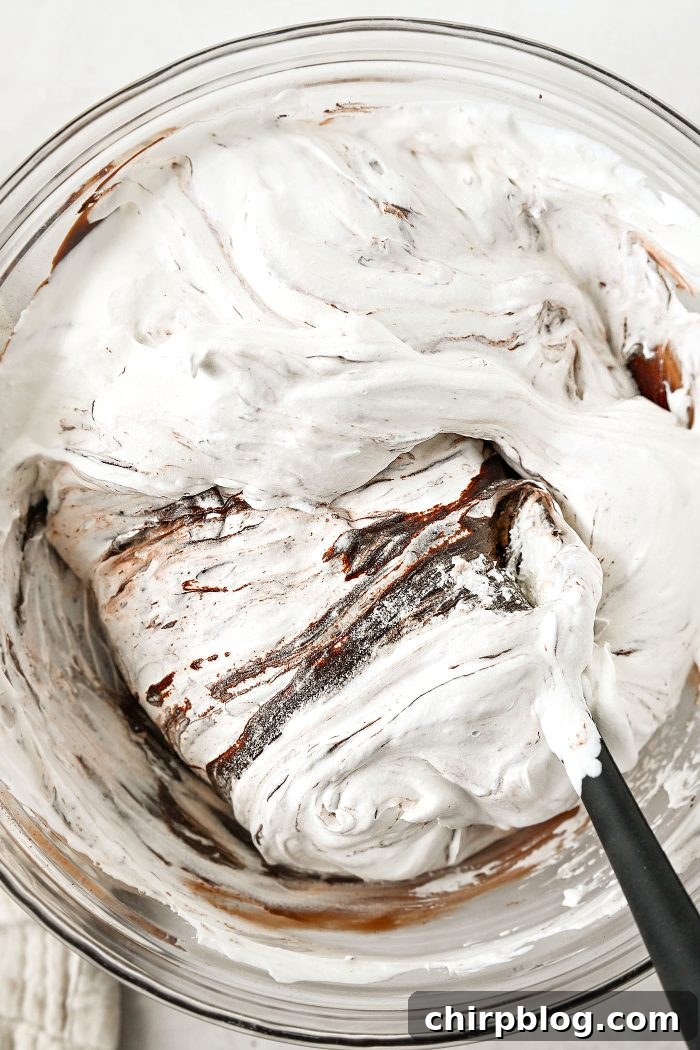 Homemade No-Churn Chocolate Ice Cream Recipe 16 fold to combine