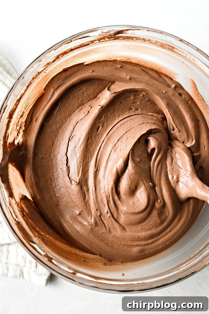 Homemade No-Churn Chocolate Ice Cream Recipe 17 chocolate ice cream base