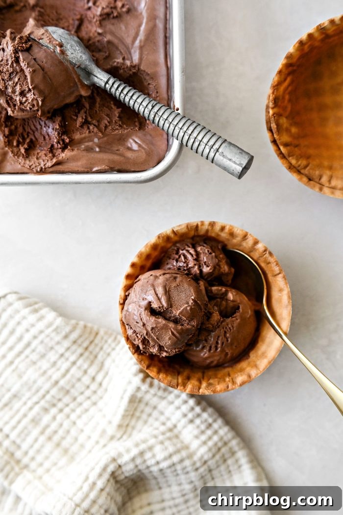 Homemade No-Churn Chocolate Ice Cream Recipe 21 No Churn Chocolate Ice Cream