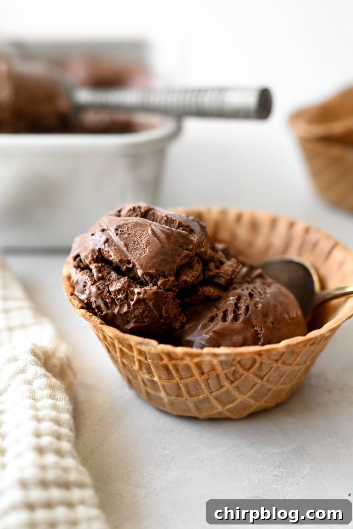 Homemade No-Churn Chocolate Ice Cream Recipe 22 No Churn Chocolate Ice Cream