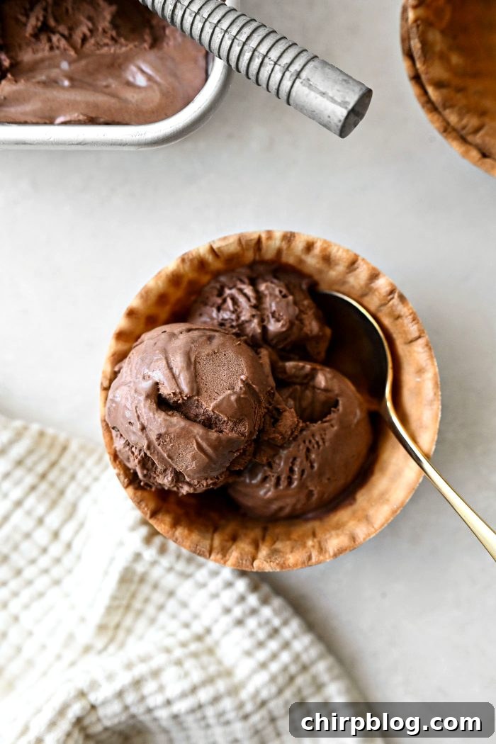 Homemade No-Churn Chocolate Ice Cream Recipe 23 No Churn Chocolate Ice Cream