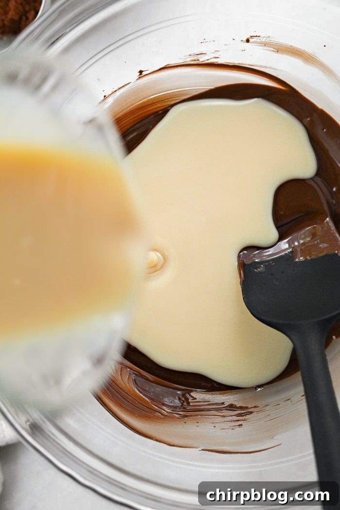 Homemade No-Churn Chocolate Ice Cream Recipe 8 pour in sweetened condensed milk