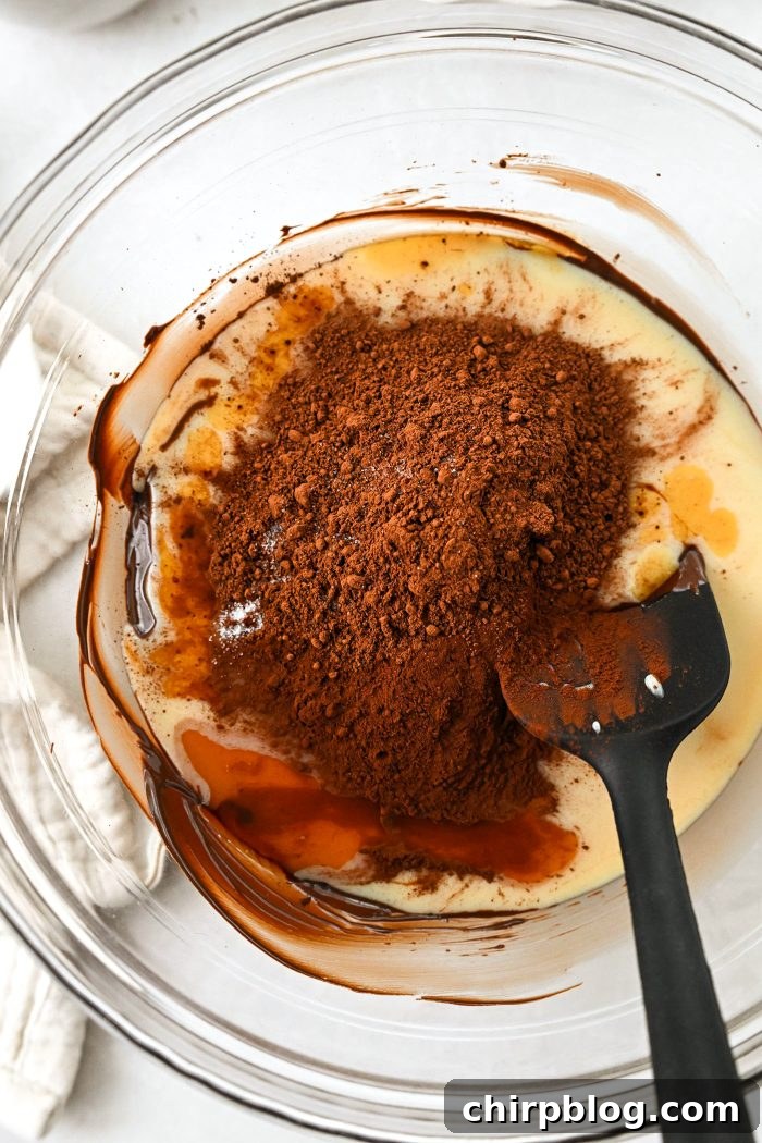 Homemade No-Churn Chocolate Ice Cream Recipe 9 add in cocoa powders, vanilla and salt